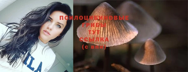 мяу мяу кристалл Арсеньев